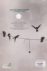 دو مرغابی در مه